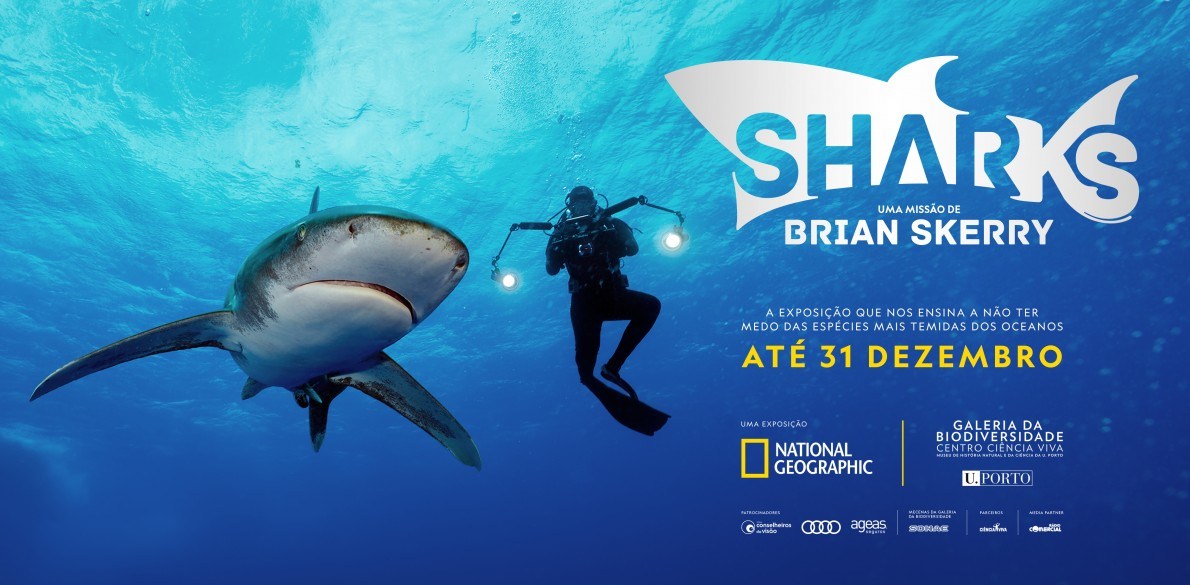 Sharks, Uma missão de Brian Skerry