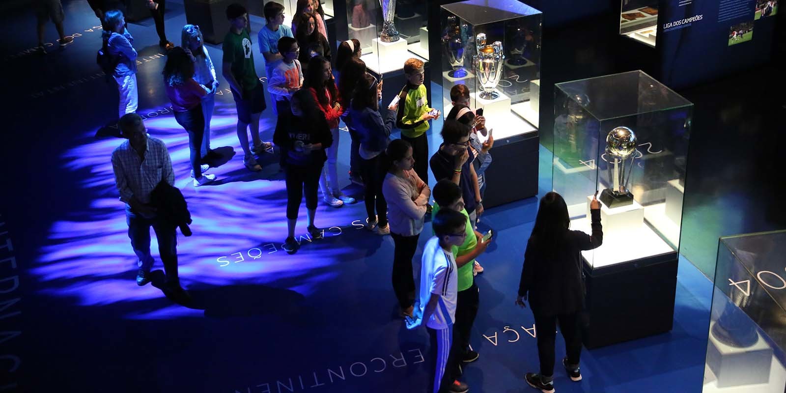 Guided Tour to FC Porto Museum