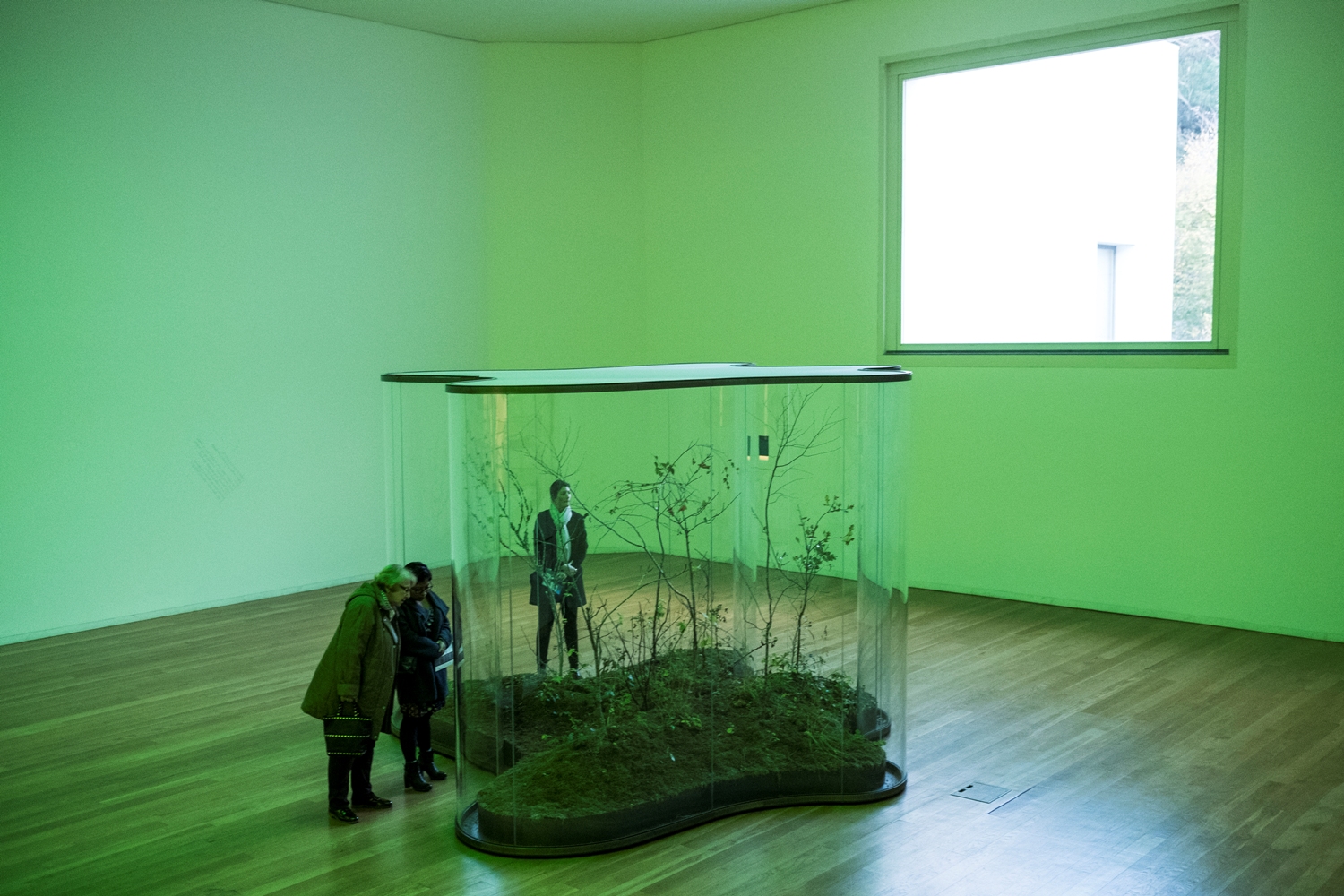 Serralves Museum of Contemporary Art  - Museums & Thematic Centres