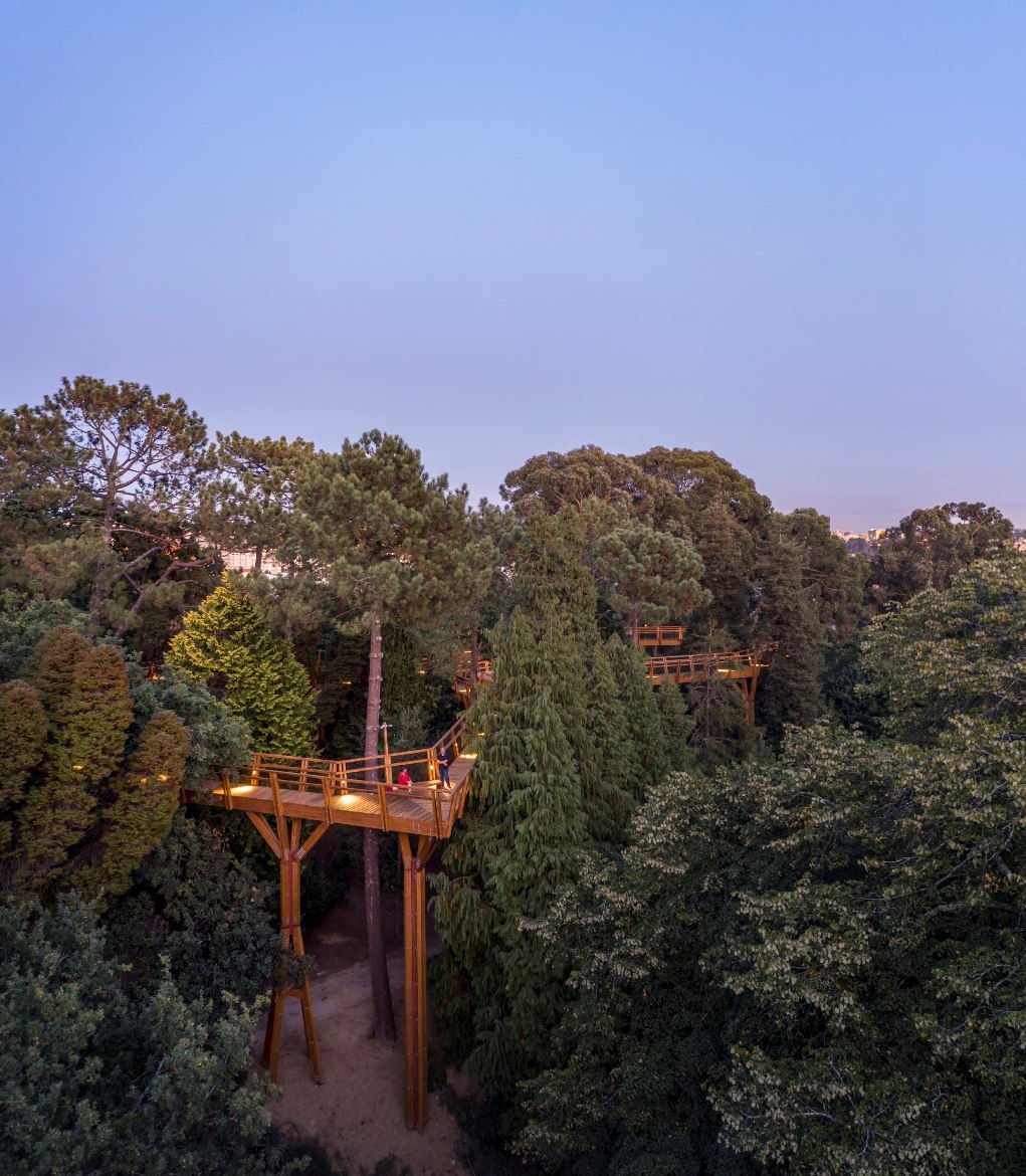 Treetop Walk - Gardens and Parks