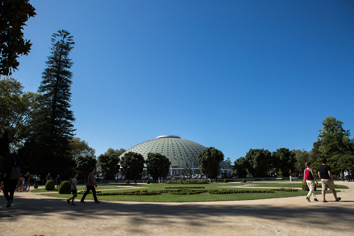 Jardins do Palácio de Cristal - Parques e Jardins