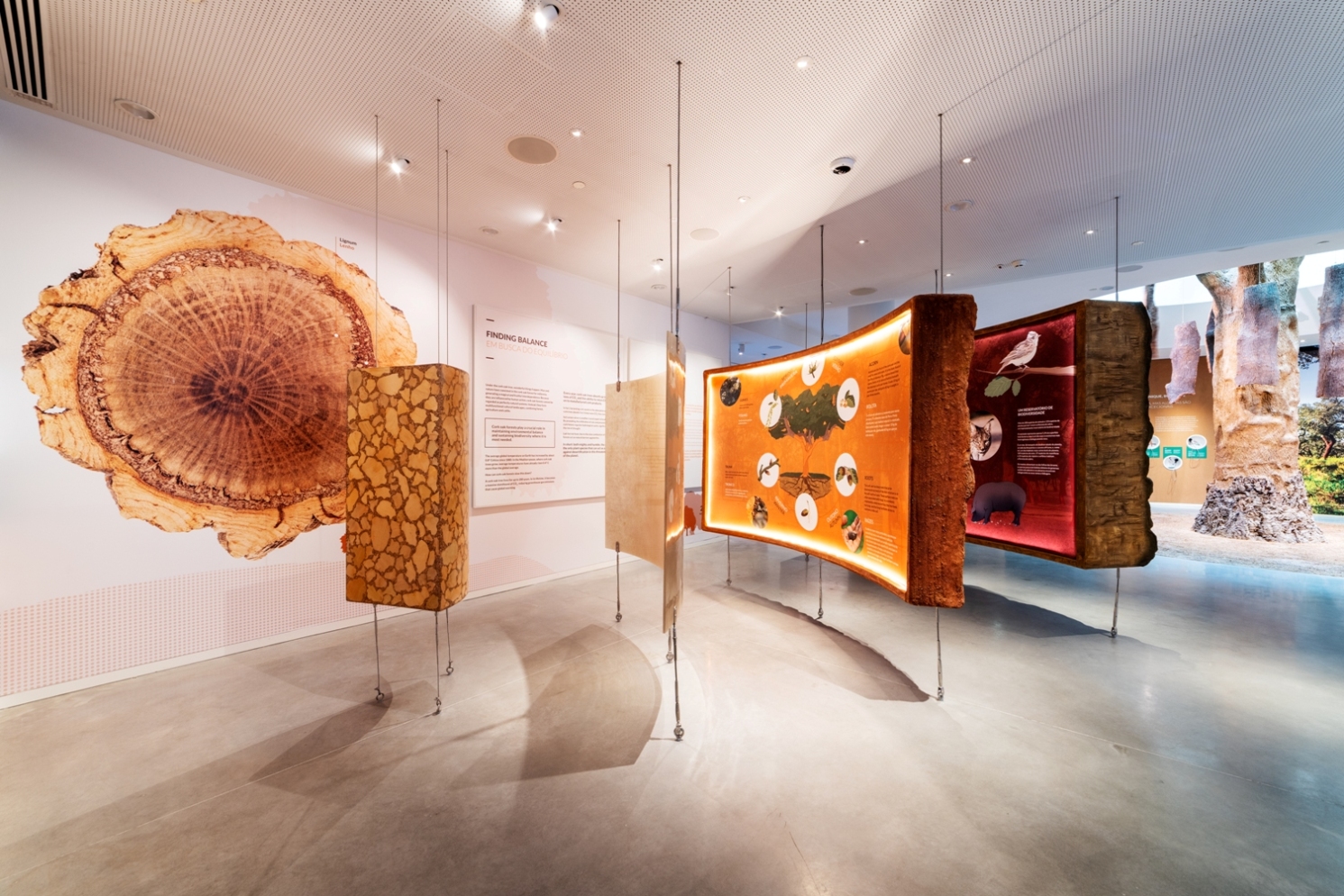 WOW - Planet Cork - Museus e Centros Temáticos