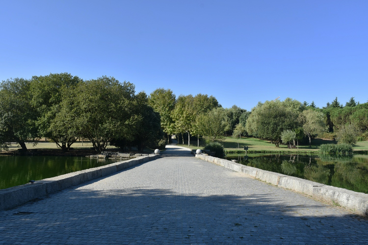 City Park - Gardens and Parks