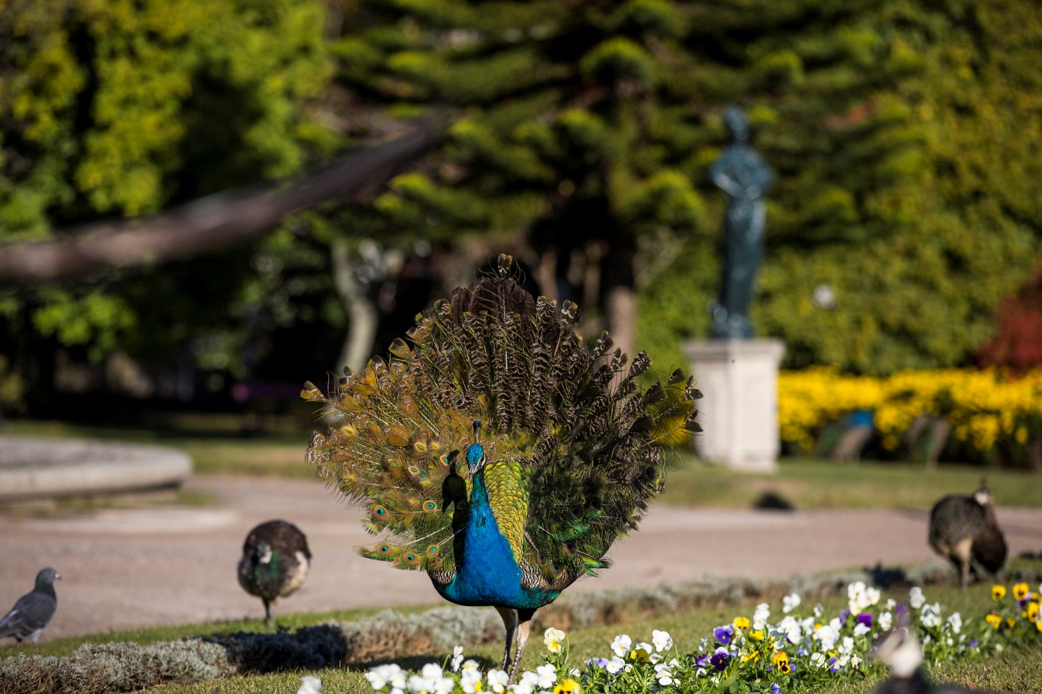 Gardens of Palácio de Cristal