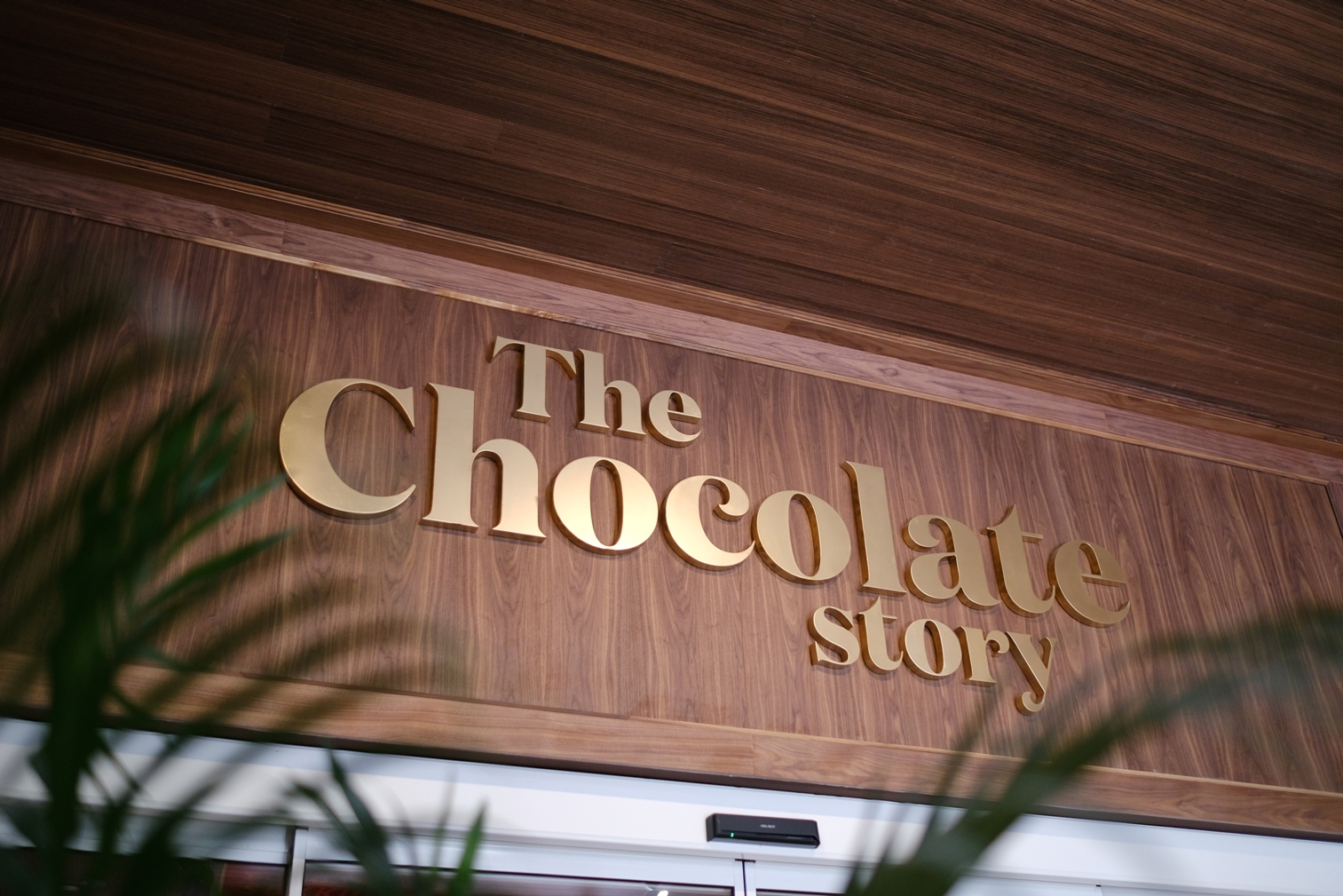 WOW - The Chocolate Story - Museums & Thematic Centres
