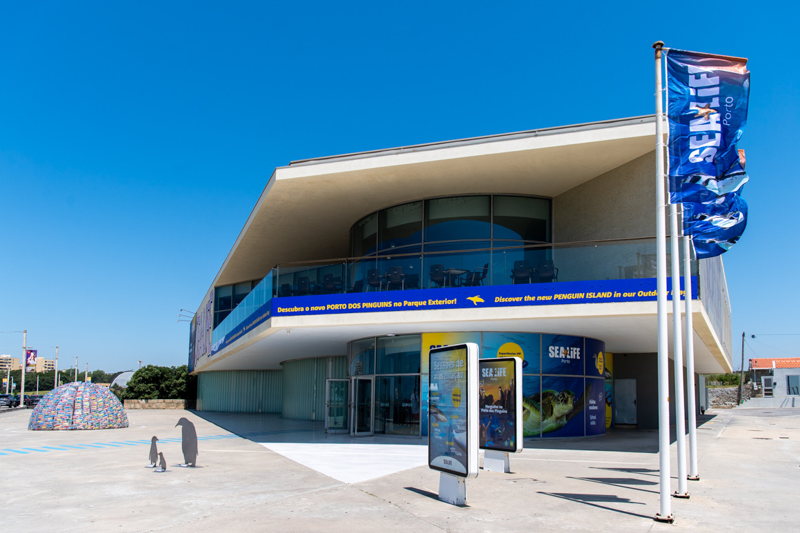 SEA LIFE Porto - Museus e Centros Temáticos